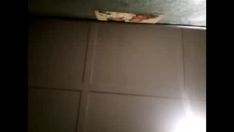 Warwick online show from February 2025 09:58:02 AM