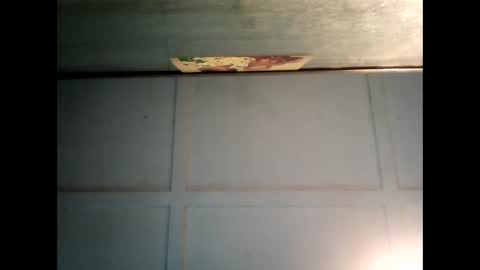 Warwick online show from March 2025 01:34:02 AM