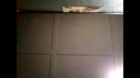 Warwick online show from March 2025 08:59:01 AM