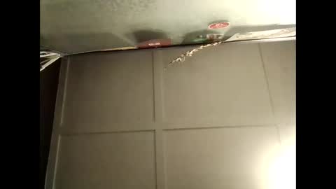 Warwick online show from October 2025 08:46:01 AM