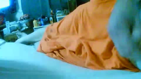 Snapshot of fultonstreet196860 chatting on November 2025 02:22:02 AM fultonstreet196860 online show from November 2025 02:22:02 AM