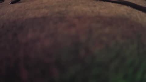 Snapshot of fumymo chatting on January 2026 08:22:01 PM fumymo online show from January 2026 08:22:01 PM