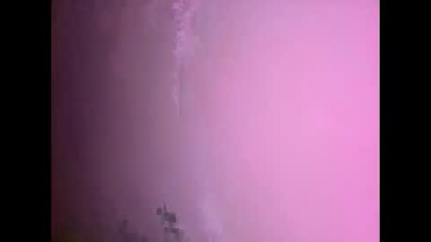 Snapshot of fungi4591 chatting on November 2025 07:30:01 PM Daniel kim online show from November 2025 07:30:01 PM