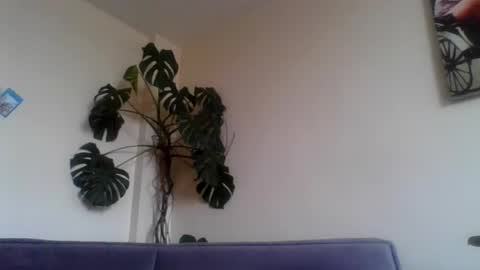 funn333funn444 online show from July 2026 09:51:02 AM