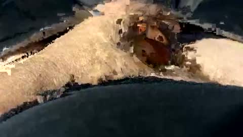 Snapshot of funtime741 chatting on December 2024 02:16:01 AM funtime741 online show from December 2024 02:16:01 AM