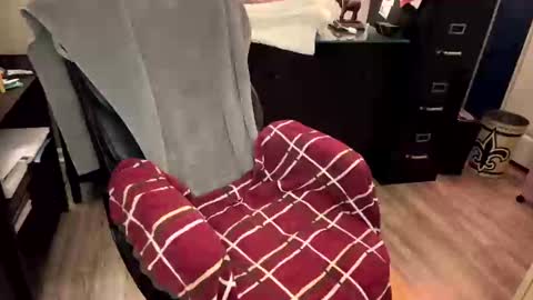 Snapshot of furryhugs69 chatting on February 2025 02:16:02 PM Erich online show from February 2025 02:16:02 PM