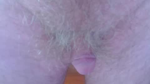 Snapshot of fuzzzman chatting on January 2025 03:02:02 AM Mark online show from January 2025 03:02:02 AM