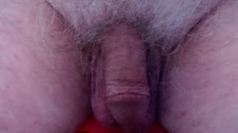 Snapshot of fuzzzman chatting on February 2025 08:09:02 AM Mark online show from February 2025 08:09:02 AM