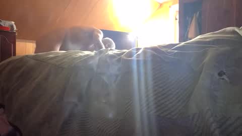 Snapshot of fwbowling chatting on February 2026 04:04:01 PM 77daddy online show from February 2026 04:04:01 PM