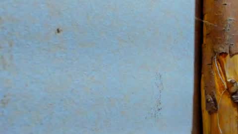 gabo_horny01 online show from July 2026 08:33:02 PM