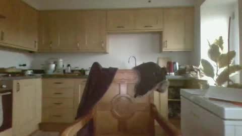 galacx online show from February 2025 04:48:02 PM