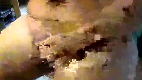 Snapshot of gallimanxxleu chatting on September 2025 08:05:01 AM Stutzen online show from September 2025 08:05:01 AM