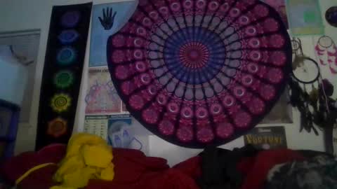 Gardenia online show from February 2026 08:08:02 AM