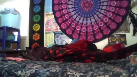 Gardenia online show from February 2026 08:40:02 PM