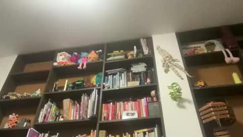 Snapshot of gargoyle_blog chatting on May 2026 03:48:02 AM Gargoyle online show from May 2026 03:48:02 AM