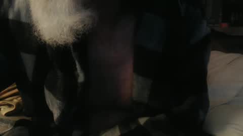 Snapshot of gary_in_maryland chatting on March 2025 04:02:02 AM Gary online show from March 2025 04:02:02 AM