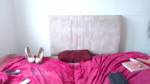 gatita13333321 online show from February 2026 04:59:01 PM