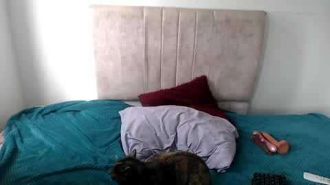 gatita13333321 online show from April 2026 05:18:01 PM