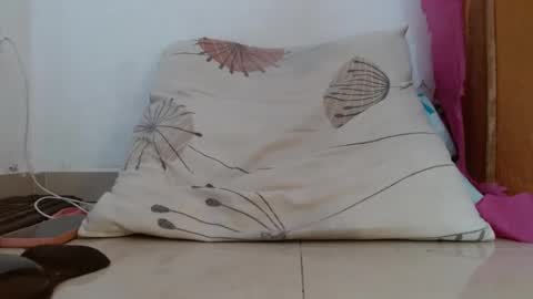 gatito02139159 online show from July 2026 05:37:01 PM