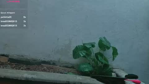 gaviluc_ online show from July 2026 03:21:02 PM