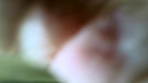 Snapshot of gazjones231 chatting on November 2025 12:22:01 PM gazjones231 online show from November 2025 12:22:01 PM