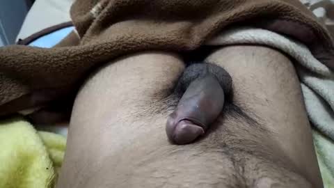 Snapshot of gbbdjr123 chatting on January 2026 03:17:02 PM gbbdjr123 online show from January 2026 03:17:02 PM