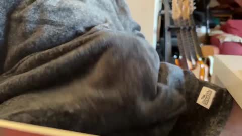 Snapshot of geezerblokeii chatting on December 2024 09:13:01 AM geezerblokeii online show from December 2024 09:13:01 AM