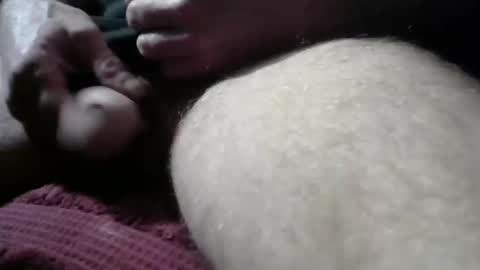 gemini_2 online show from February 2025 02:52:01 PM