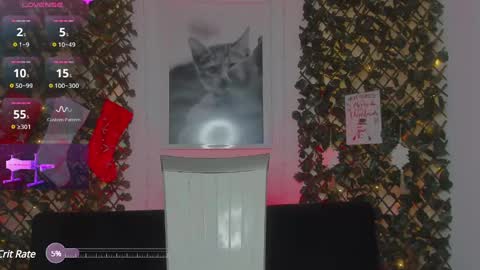 Snapshot of geminis_grey chatting on January 2025 06:54:01 AM Geminis online show from January 2025 06:54:01 AM