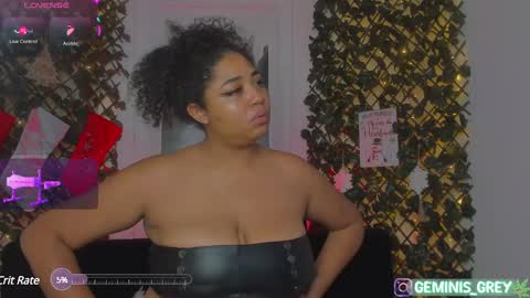 Snapshot of geminis_grey chatting on January 2025 04:25:01 AM Geminis online show from January 2025 04:25:01 AM