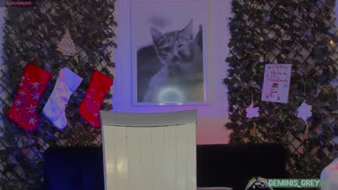 Snapshot of geminis_grey chatting on February 2025 04:14:02 AM Geminis online show from February 2025 04:14:02 AM