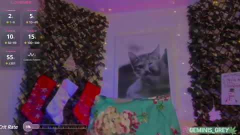 Snapshot of geminis_grey chatting on February 2025 07:12:01 AM Geminis online show from February 2025 07:12:01 AM