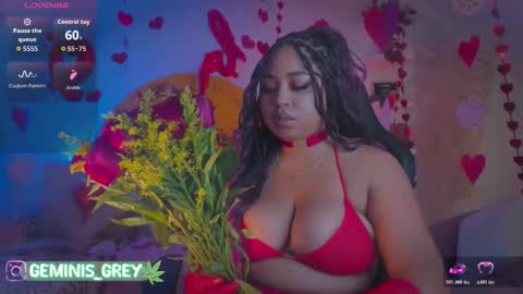 Snapshot of geminis_grey chatting on February 2026 02:52:02 AM Geminis online show from February 2026 02:52:02 AM