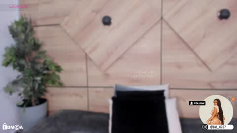    online show from January 2025 10:51:02 PM