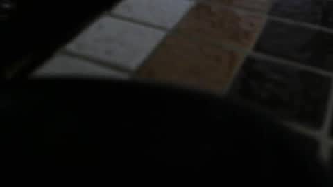 gene online show from December 2024 07:29:01 PM