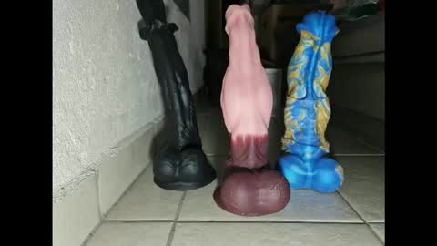 generalerectional online show from November 2025 10:36:02 AM