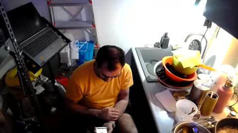 georgempt online show from January 2025 06:59:01 AM