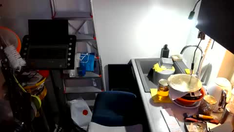 georgempt online show from January 2025 09:41:02 AM