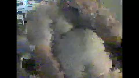 gerabo online show from December 2024 04:57:01 PM