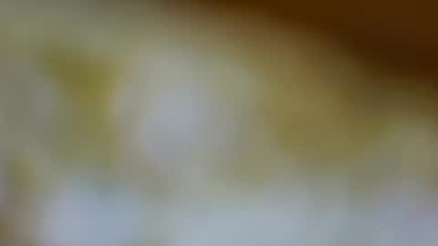 germanandy71 online show from November 2025 01:34:02 PM