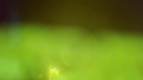 germanandy71 online show from January 2026 06:50:02 AM