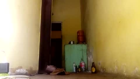 Gaby online show from September 2025 04:21:02 PM