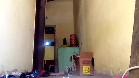 Gaby online show from September 2025 02:55:01 PM