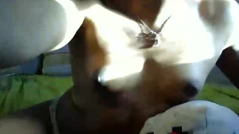 Snapshot of ghastgirlt_t chatting on October 2025 10:10:01 PM ghastgirlt_t online show from October 2025 10:10:01 PM