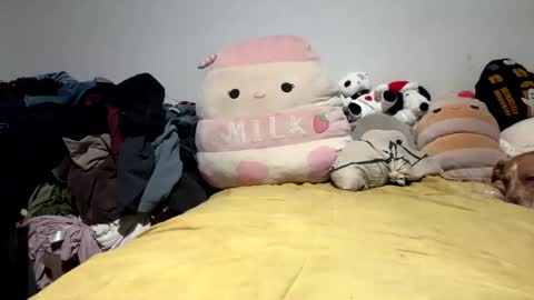 ghastgirlt_t online show from March 2026 03:39:02 AM