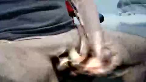 Snapshot of ghost1805 chatting on October 2025 10:29:02 PM ghost1805 online show from October 2025 10:29:02 PM