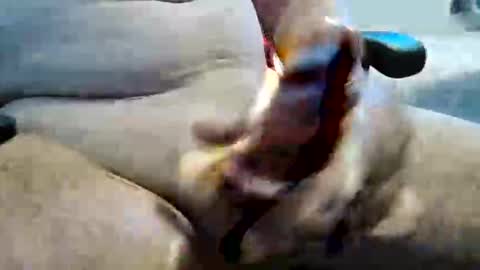 Snapshot of ghost1805 chatting on November 2025 11:26:01 PM ghost1805 online show from November 2025 11:26:01 PM