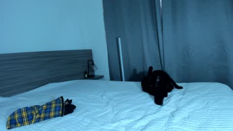 Snapshot of giannasue chatting on January 2025 06:01:02 PM giannasue online show from January 2025 06:01:02 PM