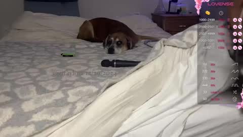 Snapshot of gigitaylorr chatting on December 2024 07:53:02 PM gigi online show from December 2024 07:53:02 PM