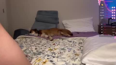 Snapshot of gigitaylorr chatting on February 2025 01:58:01 AM gigi online show from February 2025 01:58:01 AM